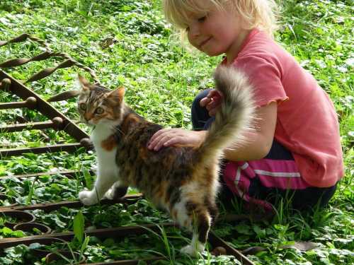 “Не все однозначно”: Як вихованці справді формують наших дітей.