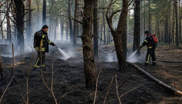 На Житомирщині в заповіднику ліквідували велику пожежу, спричинену обстрілами РФ. 15 На Житомирщині в заповіднику ліквідували велику пожежу, спричинену обстрілами РФ. 15